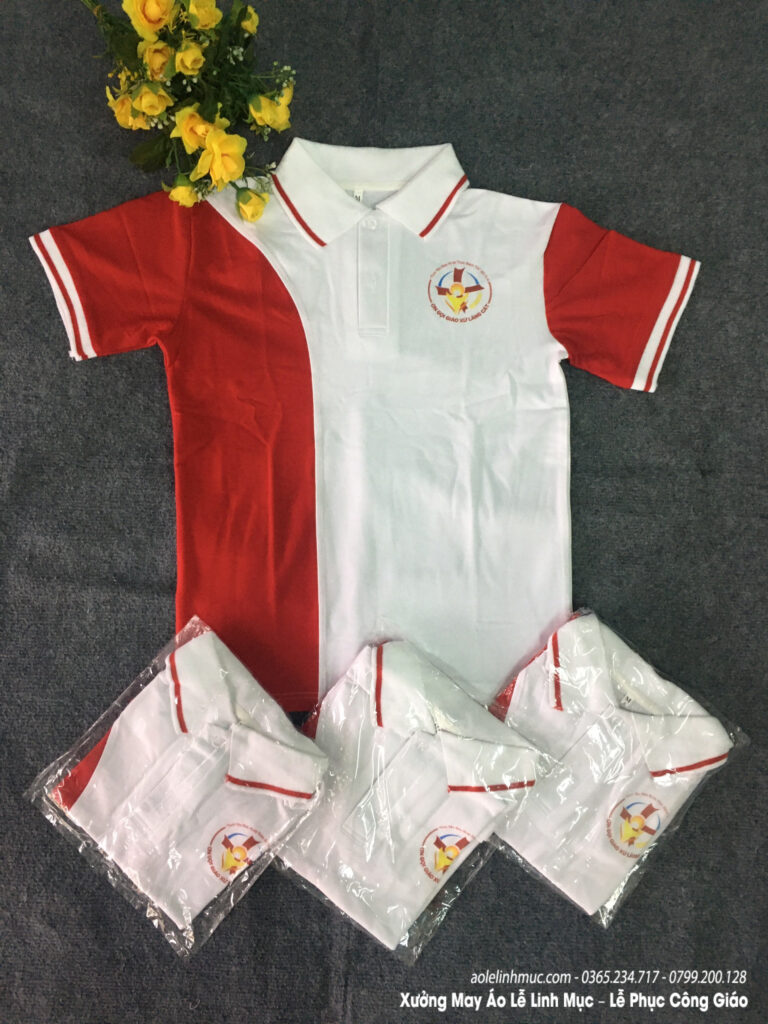 Mẫu Áo Thun Giới Trẻ Công Giáo In Theo Yêu Cầu Đẹp Nhất